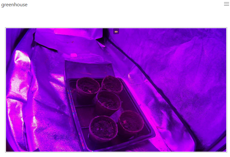 Screenshot of my greenhouse camera on my hacked Wyze Cam v2 with custom firmware.