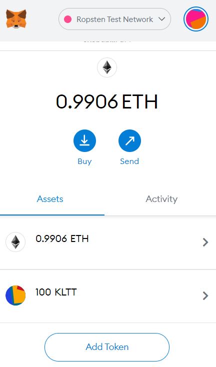 MetaMask showing custom ERC-20 token balances