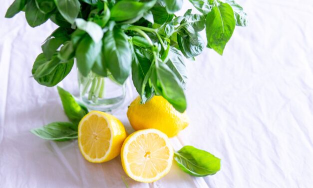 When Life Gives You Lemons: A Love Story with a Twist
