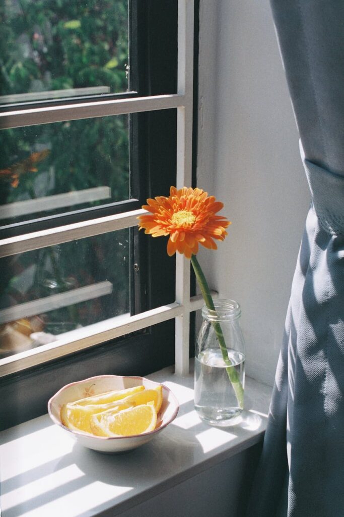 flower and lemon by the window
