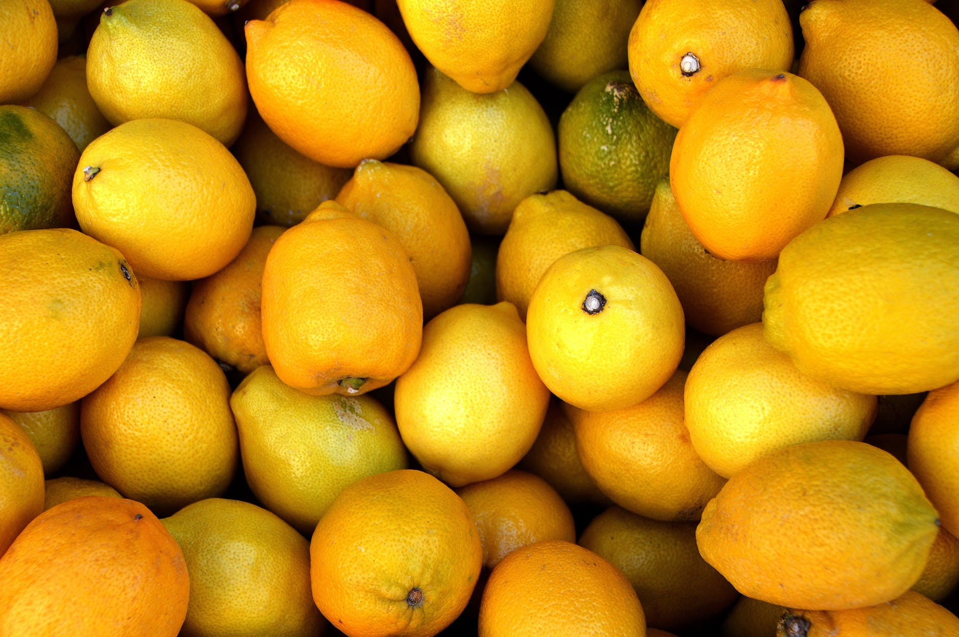 citrus citrus fruits close up delicious