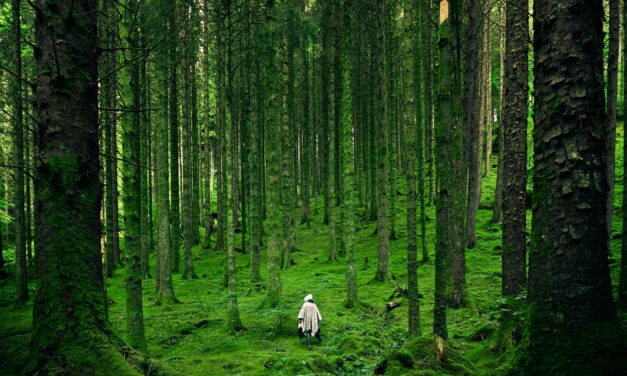 Nature’s Rx: Unveiling the Powerful Impact of Outdoor Bliss on Mental Well-being