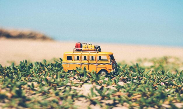 DIY LiFePO4 Solar Power Station for Car Camping: A Step-by-Step Guide