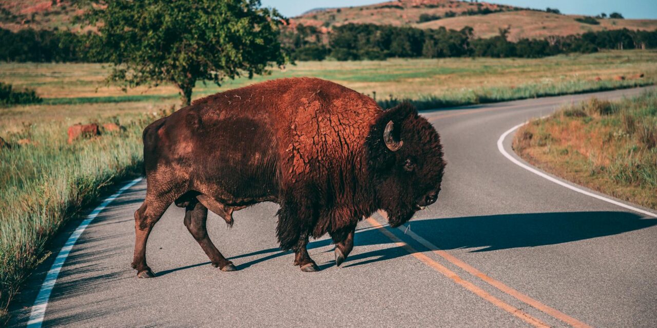 Navigating Tribal Sovereignty: The Stroble v. Oklahoma Tax Commission Case