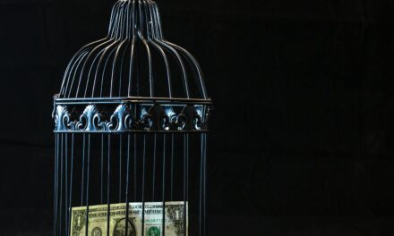 Redefining Wealth: How Cryptocurrency and Blockchain Are Shaping the Future of Money and Employment