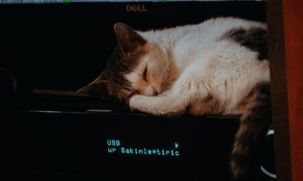 Monitor Your Pets with an RTSP-Enabled Wyze Cam v2