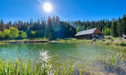 Your Rustic Retreat Awaits: A Cabin and a Dream on Movie Ranch Rd