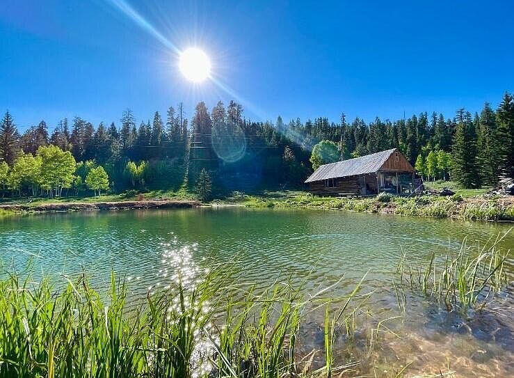 Your Rustic Retreat Awaits: A Cabin and a Dream on Movie Ranch Rd