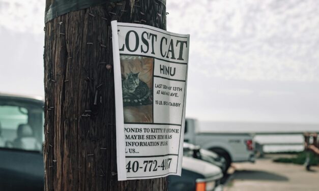 OpenSearch 3.5 can replace a separate vector DB for most self‑hosted RAG stacks