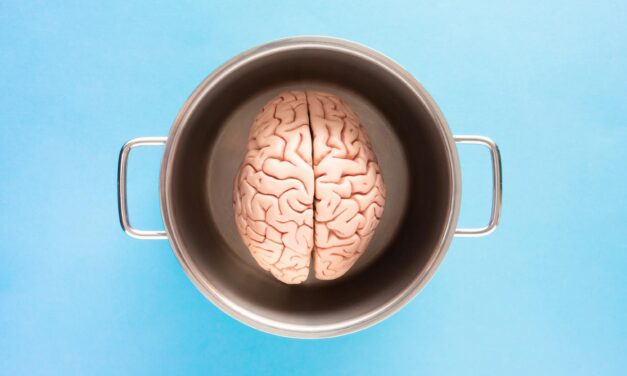 Mild TBI Still Cuts Productivity Years Later: What Employers Must Know from Sweden’s 98,000‑Person Study
