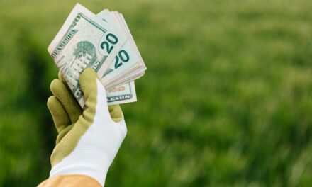 How to Make Money in Crypto in 2026 Without Trading