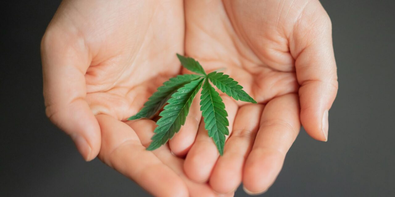 Should THC Be Recommended for Traumatic Brain Injury Recovery?
