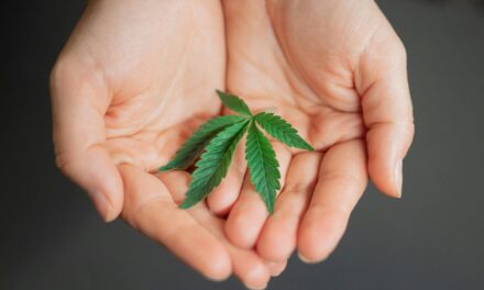 Should THC Be Recommended for Traumatic Brain Injury Recovery?