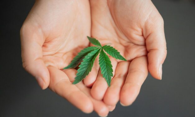 Should THC Be Recommended for Traumatic Brain Injury Recovery?