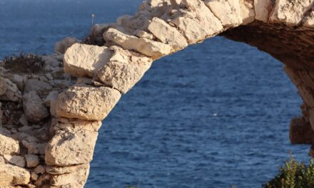 Why ProjectSend r2029 Revives the Case for a Simple Self‑Hosted Client Portal