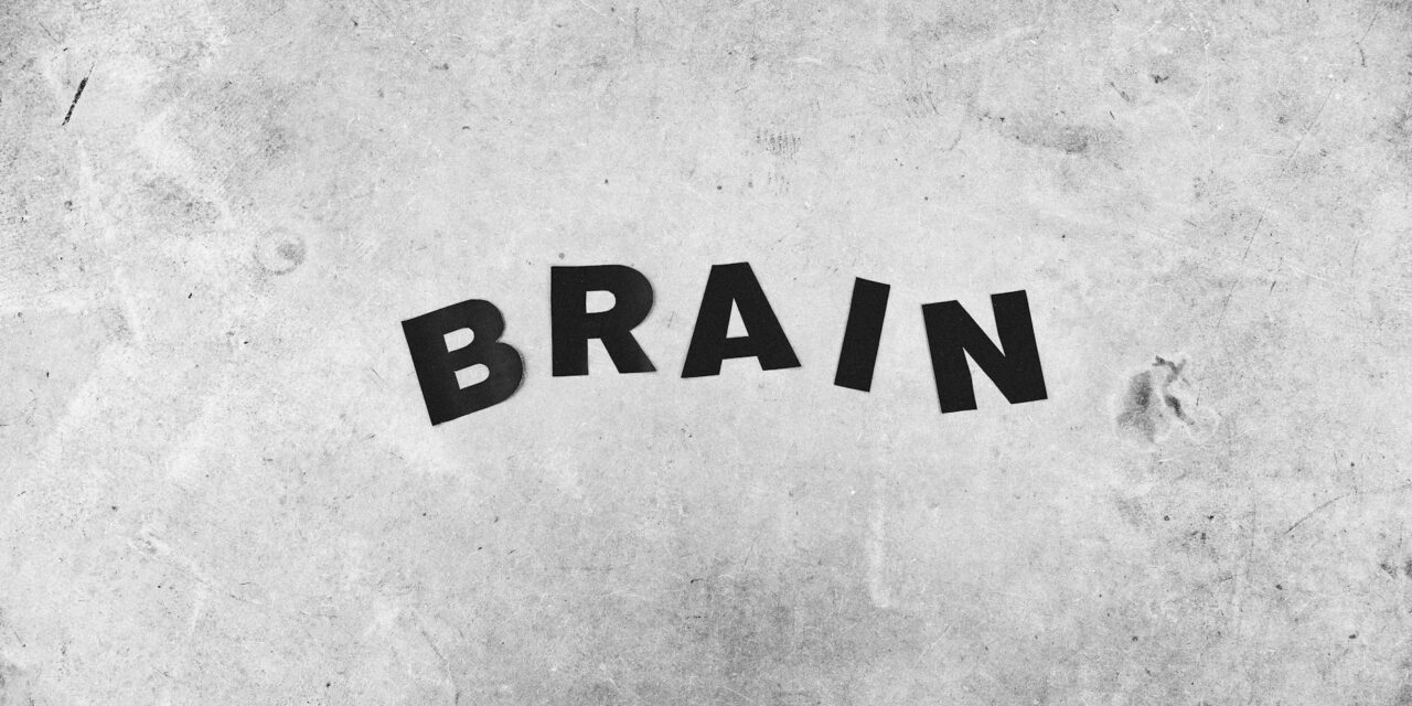 Redefining “Mild” TBI: Why the NIH’s New Brain‑Injury Framework Is a Lifeline for Survivors